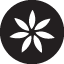 Wordpress websites