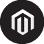 Wordpress websites