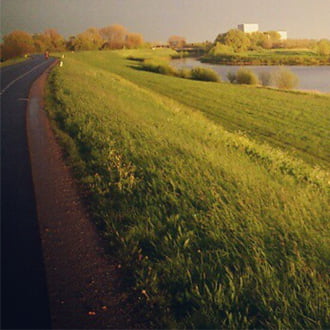 Dodewaard